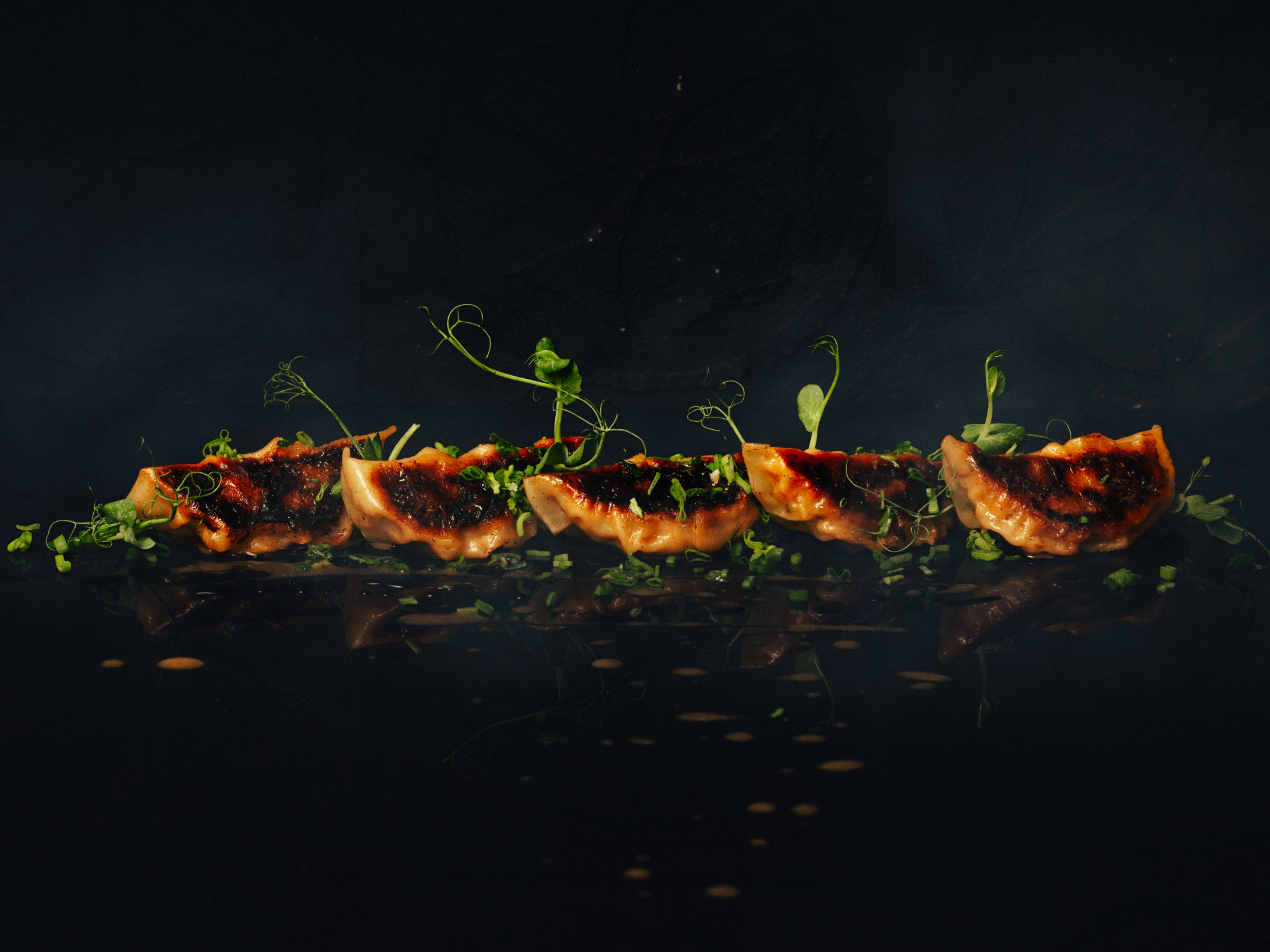 pierogi gyoza domowe